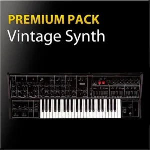 Vintage Synth